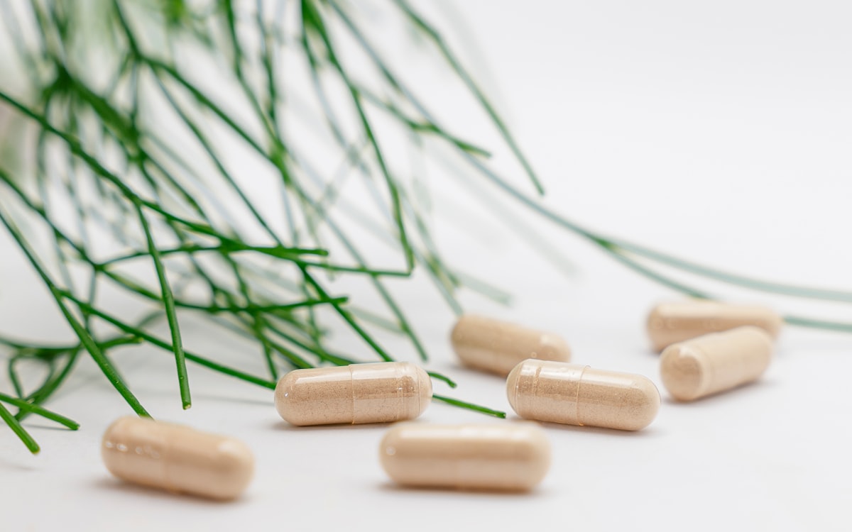 Vitamins for Adults Over 50